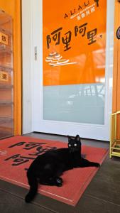 嘉义市阿里阿里民居的一只黑猫躺在门前的地毯上