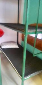 达兰萨拉Himalayan Mountain View的客房内的双层床,带梯子