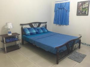 BingagBlue Summer Suites的一间卧室配有一张带蓝色枕头的床和一张桌子