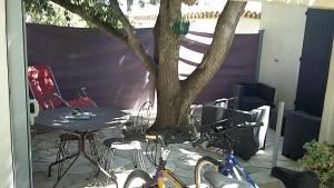 锡富尔勒普拉日ChambreStudio bord de mer, Piscine et SPA的桌子和两辆自行车停在树旁