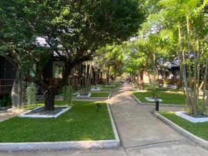 拜县禅精品度假村的一条种有棕榈树的街道和一条人行道