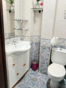 马德里Habitaciones individuales en apartamento turístico的一间带卫生间和水槽的浴室