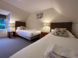 StrathtayRed Squirrel Cottage的一间卧室设有两张床和窗户。