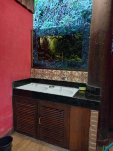 维奥康德马奥Casa da Montanha的浴室配有水槽和墙上的鱼缸。