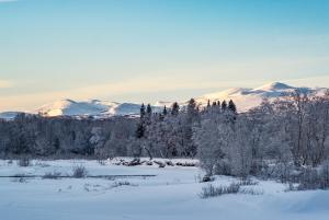 Vålådalen瓦拉达兰斯车站旅馆的积雪覆盖的树木和山脉