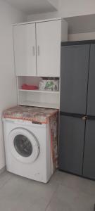 泰尔莫利Casa di Nalo'的带冰箱的客房内的洗衣机