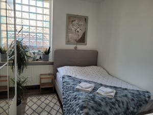 比得哥什Apartament Pod Orzechem的一间卧室配有一张床,上面有两条毛巾
