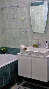 斯科普里Spacious and quiet apartment的浴室设有白色水槽和镜子