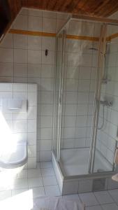 格拉茨Hotel Restaurant - Häuserl im Wald Graz的带淋浴和卫生间的浴室
