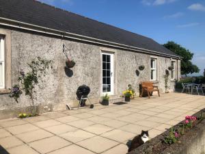 CullybackeyBallyconnelly Cottages, Galgorm area的坐在石头房子前面的猫