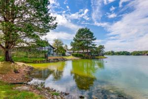 康福斯松湖钻石度假酒店的享有树木和房屋的湖泊美景。