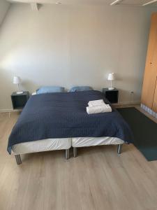 奥本罗Hotel Vin & Gastro的一间卧室配有一张带蓝色床单的大床和两盏灯。