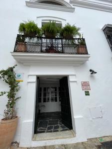 丰特埃里多斯Tinoquero VTAR的白色的建筑,阳台上种植了盆栽植物