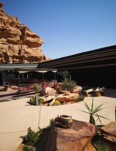 瓦迪拉姆Desert stars的一座拥有大量植物和岩石的建筑