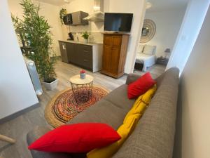 凯恩Charmant appartement proche du centre ville的客厅配有红色和黄色枕头的沙发
