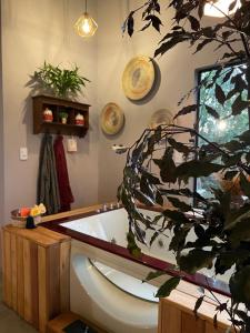塞拉内格拉Pousada Santa Thereza的带浴缸和植物的浴室