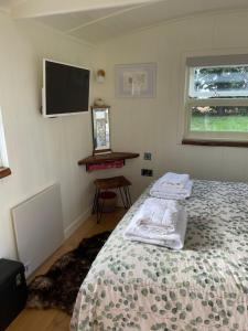 TillinghamMuffins Meadow Shepherds Hut的一间卧室配有一张床和一台平面电视