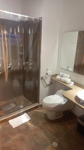波哥大HOTEL TEUSAQUILLO BOUTIQUE BOGOTA的带淋浴、卫生间和盥洗盆的浴室