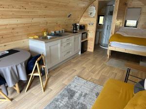 莱尔格Lochside Lodge Pod的小屋内的厨房配有水槽和桌子