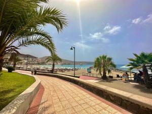 洛斯克里斯蒂亚诺斯Playa Lux Los Cristianos的棕榈树海滩旁的步道