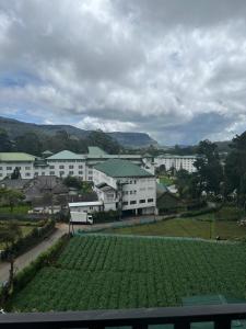 努沃勒埃利耶Nuwara eliya Luxury Apartment的绿色植物群的初始视图