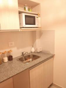 内乌肯Mono Neuquen的厨房配有水槽和微波炉