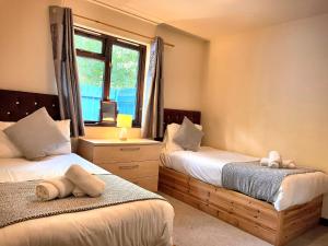 卡马森PrancingHare Lodge-Woodland Lodges-Pembrokshire的一间卧室设有两张床和窗户。