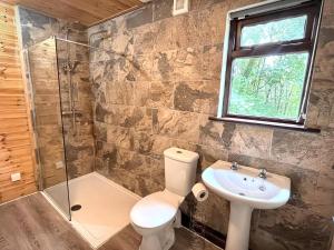 卡马森PrancingHare Lodge-Woodland Lodges-Pembrokshire的浴室配有卫生间、盥洗盆和淋浴。