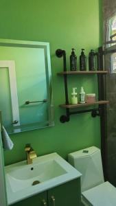 Casa Verde - Modern Apt in Santurce's Art District in San Juan的一间浴室
