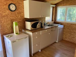 AuvernierPivert的厨房配有微波炉、水槽和冰箱