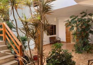 曼克拉Hospedaje Costa Norte的一间拥有一束棕榈树和楼梯的房间