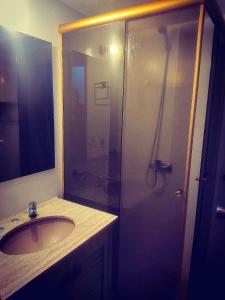 蒙得维的亚Patio Urbano Suites & beds的带淋浴和盥洗盆的浴室