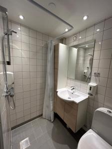 勒兹比斯道普希里普酒店的一间带水槽、卫生间和镜子的浴室