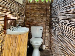 KongolaKazondwe Camp and Lodge的一间带卫生间和水槽的浴室
