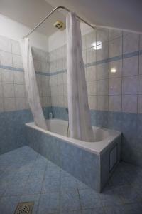 Villa SlavinaDomačija Malnarjevi的浴室设有带浴帘的浴缸