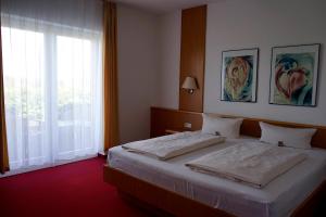 HabrachćicyHainberg Hotel的一间卧室设有一张床和一个大窗户