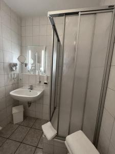 HabrachćicyHainberg Hotel的带淋浴和盥洗盆的浴室