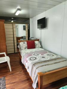 Alto BoqueteBonvivant Boquete的卧室配有一张床,墙上配有电视。