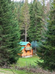 普拉夫Isov Ranch的森林中间的小木屋