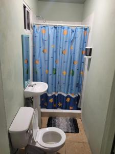 Coxen HoleAirport Inn Roatan的浴室设有卫生间和蓝色的浴帘。
