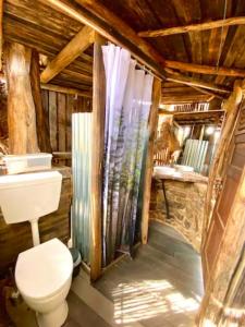 拉戈斯Magical Treehouse的一间带卫生间和水槽的浴室