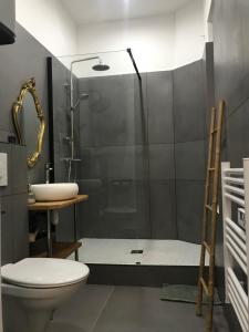 阿雅克修Bon'appart的带淋浴、卫生间和盥洗盆的浴室