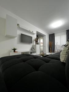 Popeşti-LeordeniNew Residence Apartament的带沙发和电视的客厅