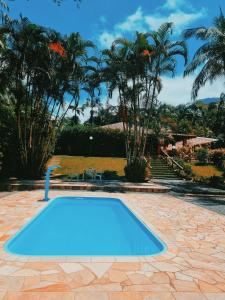 约恩维利Hotel Jussara Cultural - Joinville的棕榈树庭院中的蓝色游泳池