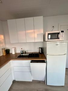雷克雅未克Charming 1-bedroom condo with stunning view的小厨房配有白色橱柜和微波炉