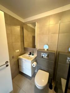 雷克雅未克Charming 1-bedroom condo with stunning view的浴室配有白色卫生间和盥洗盆。