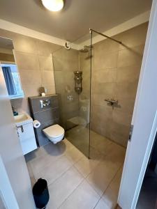 雷克雅未克Charming 1-bedroom condo with stunning view的一间带卫生间和玻璃淋浴间的浴室