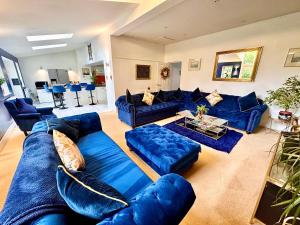 阿斯克PENDERI HOUSE USK SOUTH WALES的一个带蓝色沙发的大客厅