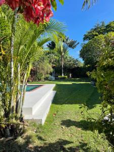 圣卡洛斯Kasi at Paradise的一个带游泳池和棕榈树的花园
