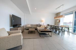 蒂米什瓦拉Olympus Residence的带沙发、电视和桌子的客厅